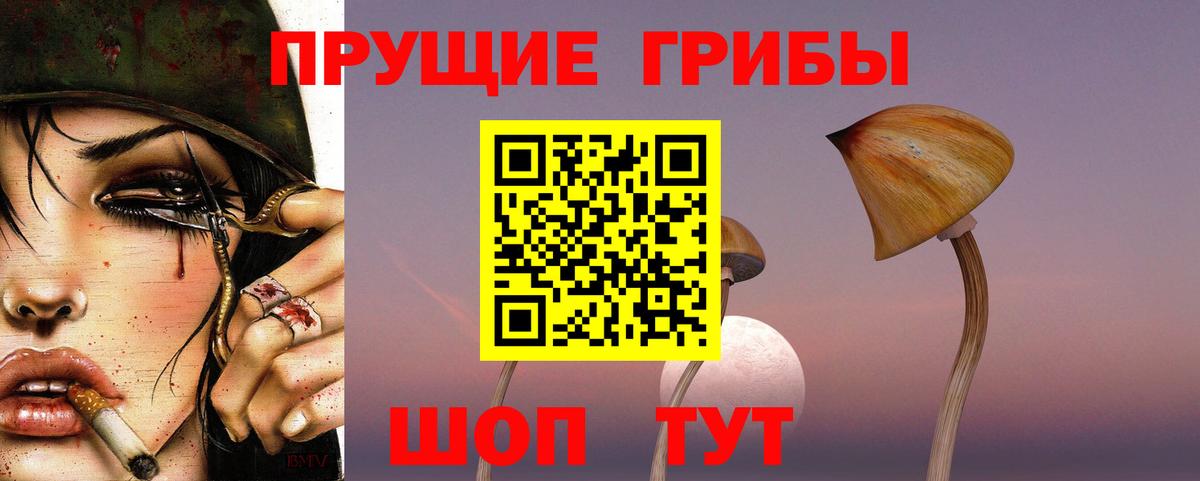 Галлюциногенные грибы MAGIC MUSHROOMS  Вход с VPN  Иркутск 